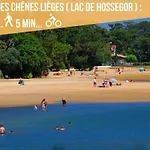 Hossegor - Lumineux - 100m - Surf - *