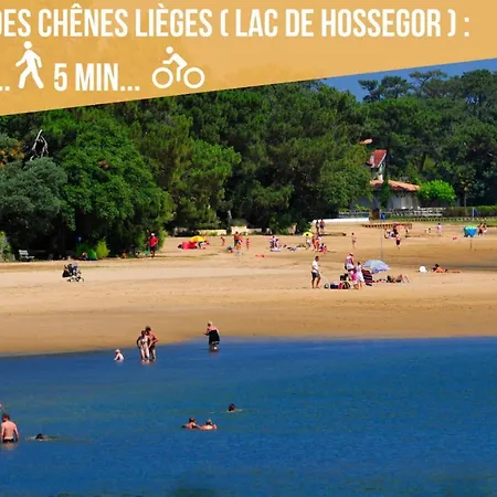 Hossegor - Lumineux - 100m - Surf - *